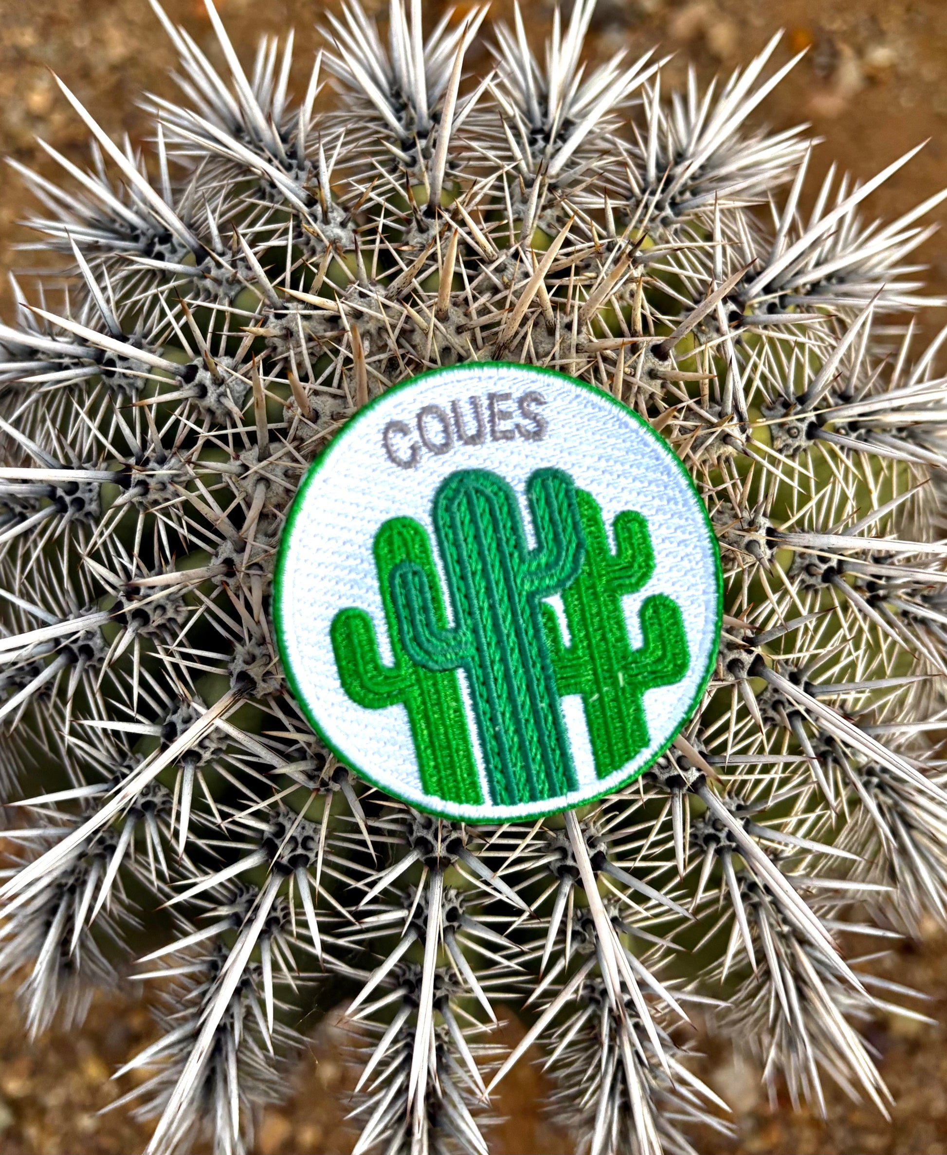 Sonoran Born Patch